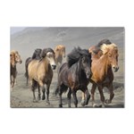 Running Horses Sticker A4 (100 pack)