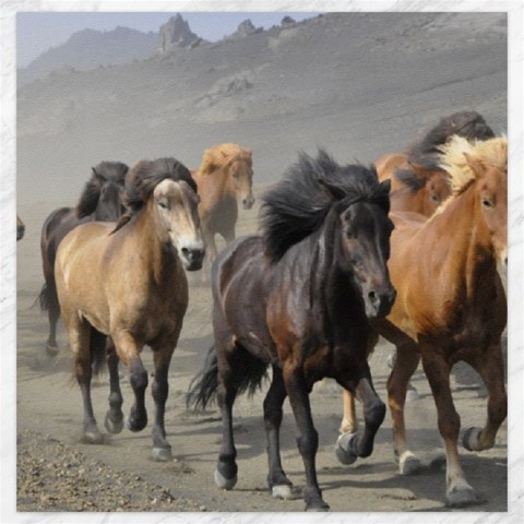 Running Horses Canvas 20  x 20  from ArtsNow.com 19 x19.27  Canvas - 1