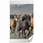 Running Horses Canvas 40  x 72 