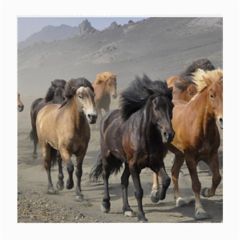 Running Horses Medium Glasses Cloth (2 Sides) from ArtsNow.com Front