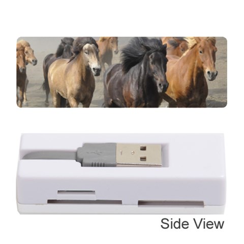 Running Horses Memory Card Reader (Stick) from ArtsNow.com Front