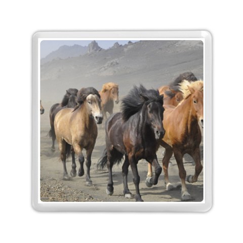 Running Horses Memory Card Reader (Square) from ArtsNow.com Front