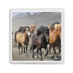 Running Horses Memory Card Reader (Square)