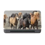 Running Horses Memory Card Reader with CF