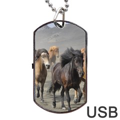 Running Horses Dog Tag USB Flash (Two Sides) from ArtsNow.com Back