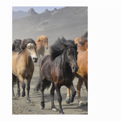 Running Horses Large Garden Flag (Two Sides) from ArtsNow.com Back