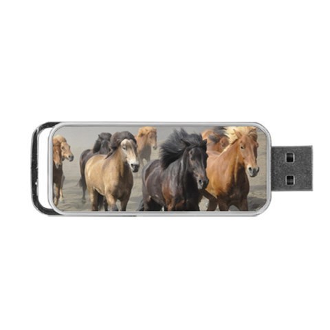 Running Horses Portable USB Flash (Two Sides) from ArtsNow.com Front