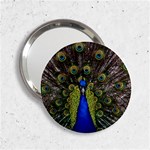 Peacock 2.25  Handbag Mirror