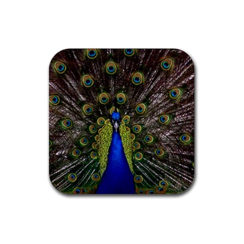 Peacock Rubber Coaster (Square) from ArtsNow.com Front