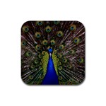 Peacock Rubber Coaster (Square)