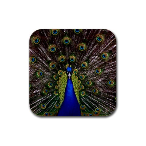 Peacock Rubber Square Coaster (4 pack) from ArtsNow.com Front