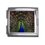 Peacock Mega Link Italian Charm (18mm)