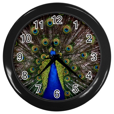 Peacock Wall Clock (Black) from ArtsNow.com Front