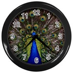 Peacock Wall Clock (Black)
