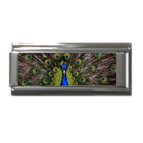 Peacock Superlink Italian Charm (9mm) from ArtsNow.com Front