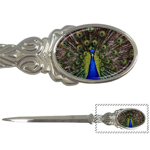 Peacock Letter Opener from ArtsNow.com Front