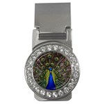 Peacock Money Clip (CZ)