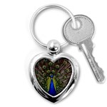 Peacock Key Chain (Heart)