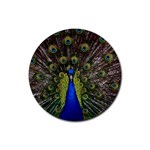 Peacock Rubber Round Coaster (4 pack)