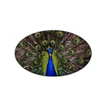 Peacock Sticker (Oval)