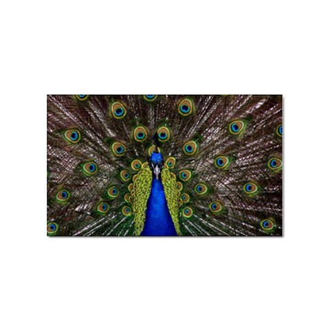 Peacock Sticker (Rectangular) from ArtsNow.com Front