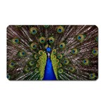 Peacock Magnet (Rectangular)