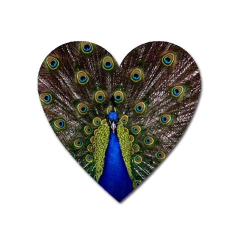 Peacock Magnet (Heart) from ArtsNow.com Front