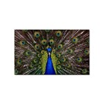 Peacock Sticker Rectangular (100 pack)