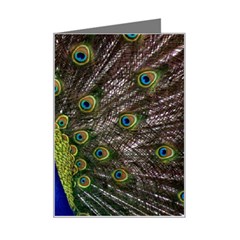 Peacock Mini Greeting Card from ArtsNow.com Left