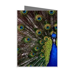 Peacock Mini Greeting Card from ArtsNow.com Right