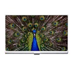 Peacock Business Card Holder