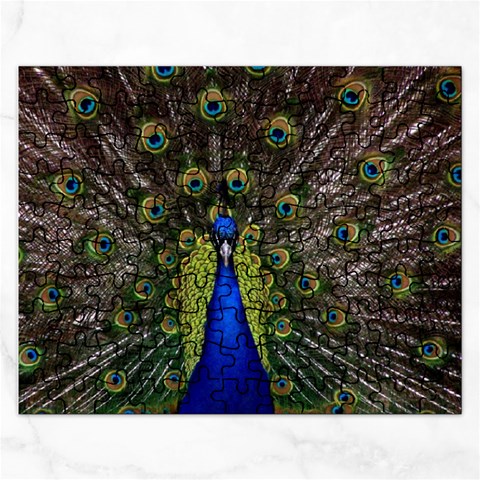 Peacock Jigsaw Puzzle (Rectangular) from ArtsNow.com Front