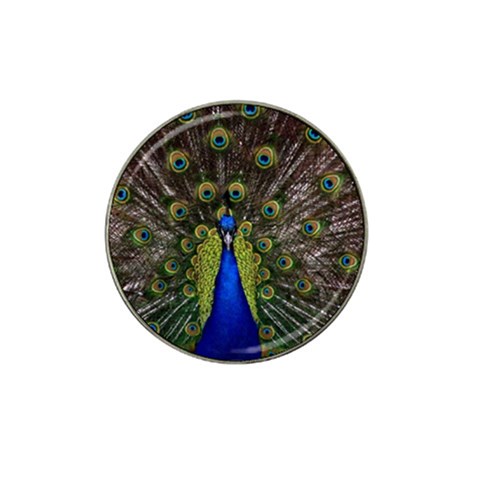 Peacock Hat Clip Ball Marker (4 pack) from ArtsNow.com Front