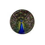 Peacock Hat Clip Ball Marker (4 pack)