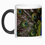 Peacock Morph Mug