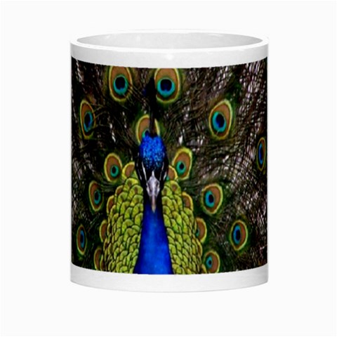 Peacock Morph Mug from ArtsNow.com Center