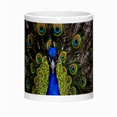 Peacock Morph Mug from ArtsNow.com Center