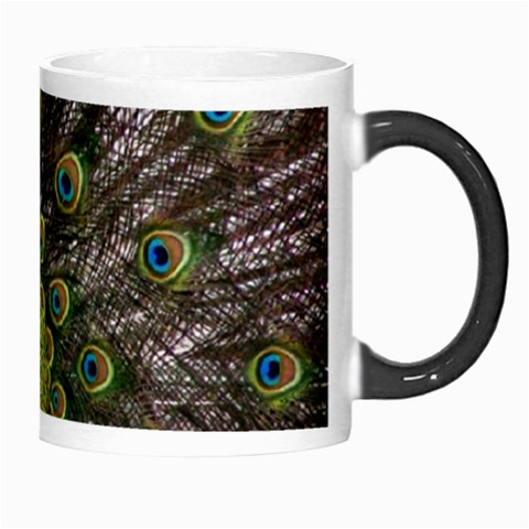 Peacock Morph Mug from ArtsNow.com Right