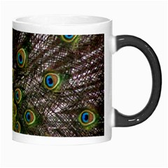Peacock Morph Mug from ArtsNow.com Right