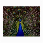 Peacock Small Glasses Cloth