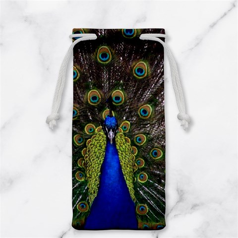 Peacock Jewelry Bag from ArtsNow.com Front