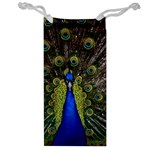 Peacock Jewelry Bag