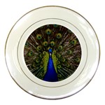 Peacock Porcelain Plate