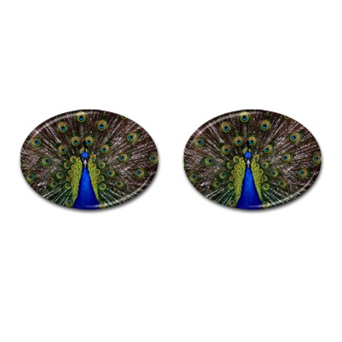 Peacock Cufflinks (Oval) from ArtsNow.com Front(Pair)
