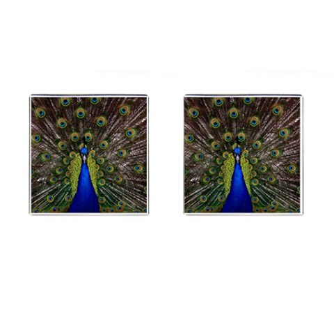 Peacock Cufflinks (Square) from ArtsNow.com Front(Pair)