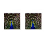 Peacock Cufflinks (Square)