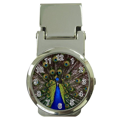 Peacock Money Clip Watch from ArtsNow.com Front