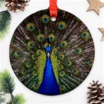 Peacock Round Ornament (Two Sides)