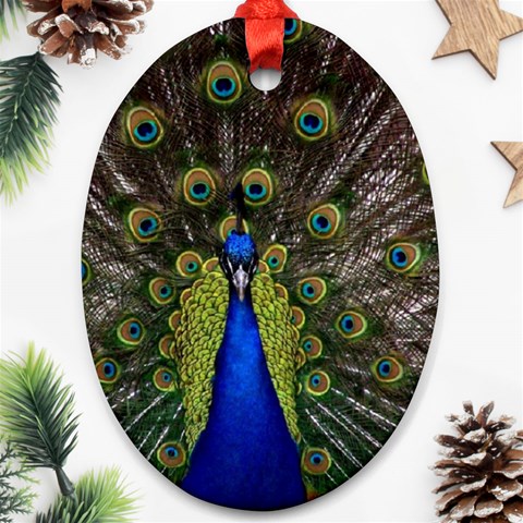 Peacock Oval Ornament (Two Sides) from ArtsNow.com Front