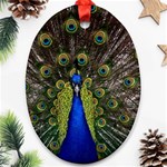 Peacock Oval Ornament (Two Sides)